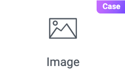 widget image