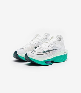 shoe 2